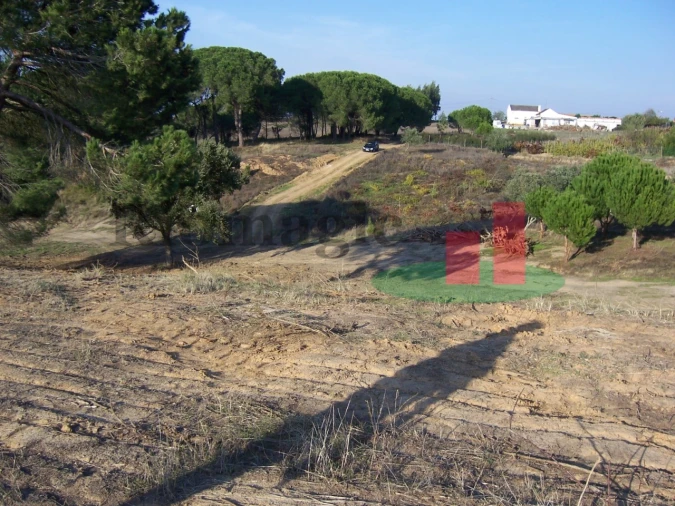 Terreno para Venda em Aveiras de Cima Foto 13