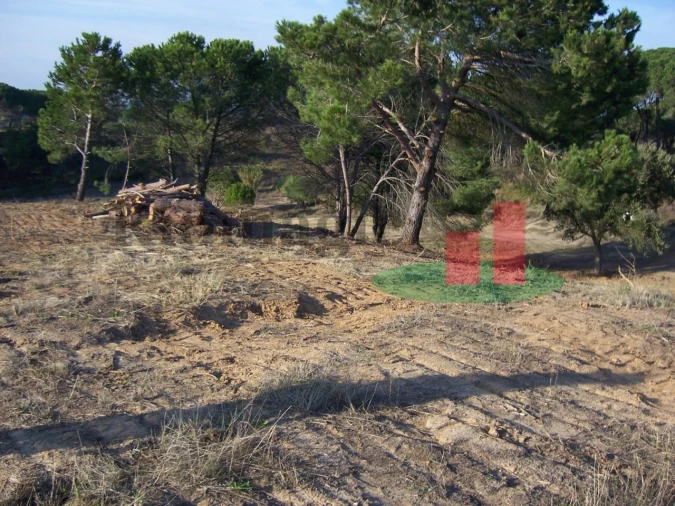 Terreno para Venda em Aveiras de Cima Foto 12