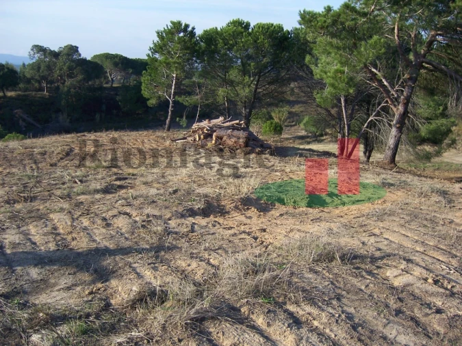 Terreno para Venda em Aveiras de Cima Foto 14