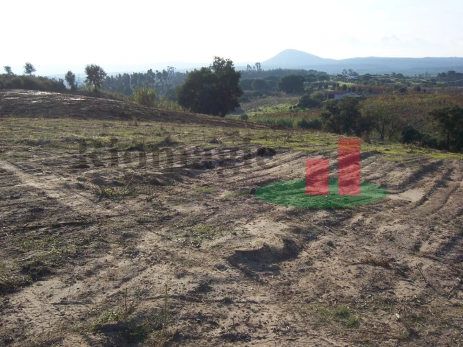 Terreno para Venda em Aveiras de Cima Foto 15