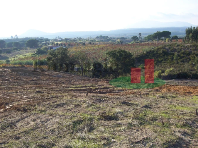 Terreno para Venda em Aveiras de Cima Foto 16