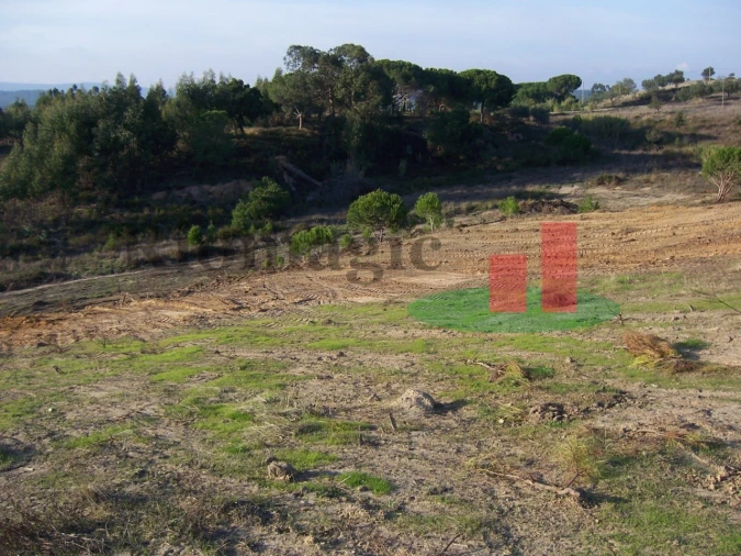 Terreno para Venda em Aveiras de Cima Foto 18