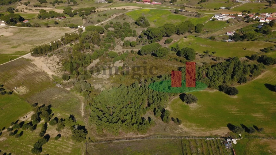 Terreno para Venda em Aveiras de Cima Foto 25