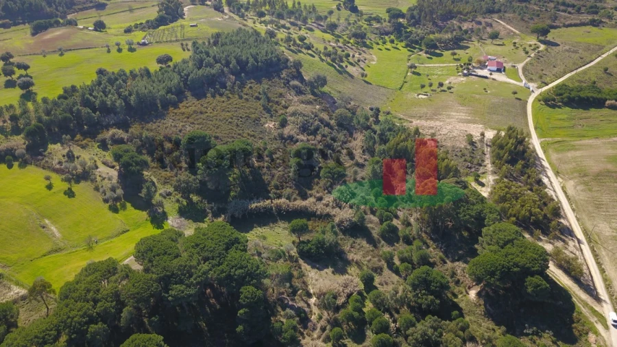 Terreno para Venda em Aveiras de Cima Foto 29