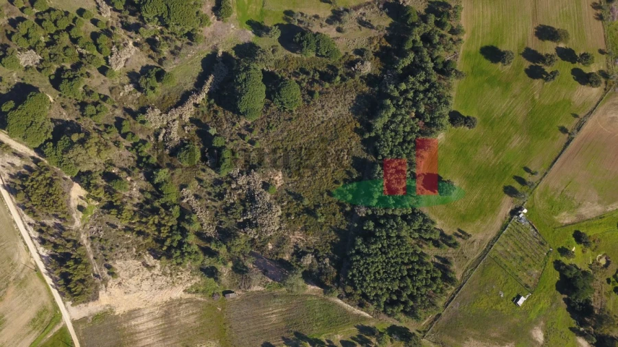 Terreno para Venda em Aveiras de Cima Foto 30