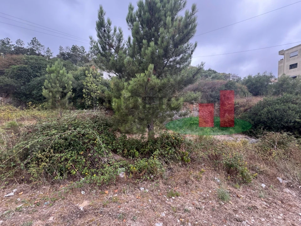 Terreno para Venda em Minde Foto 6