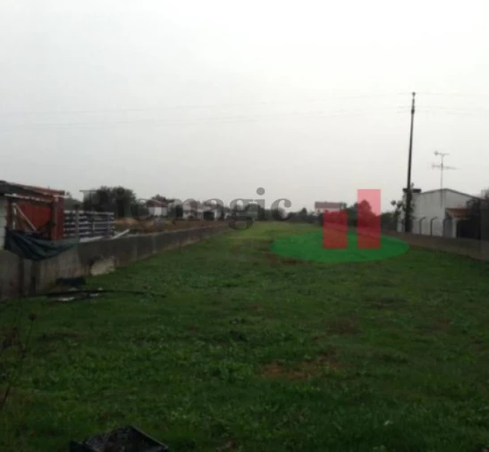 Terreno para Venda em Marinhais Foto 1