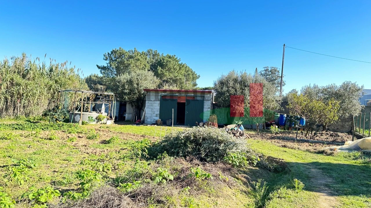 Terreno para Venda em Rio Maior Foto 4