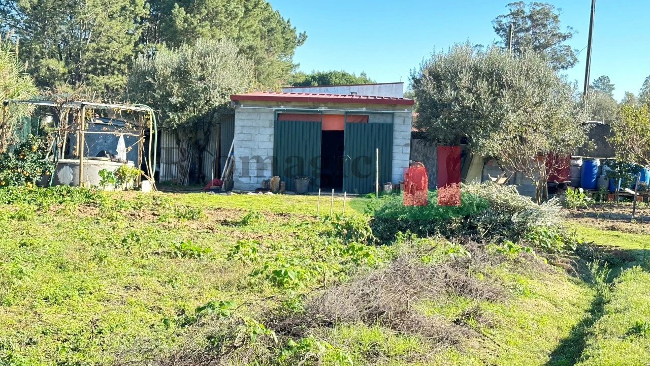 Terreno para Venda em Rio Maior Foto 5
