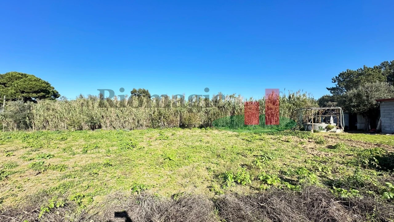 Terreno para Venda em Rio Maior Foto 7