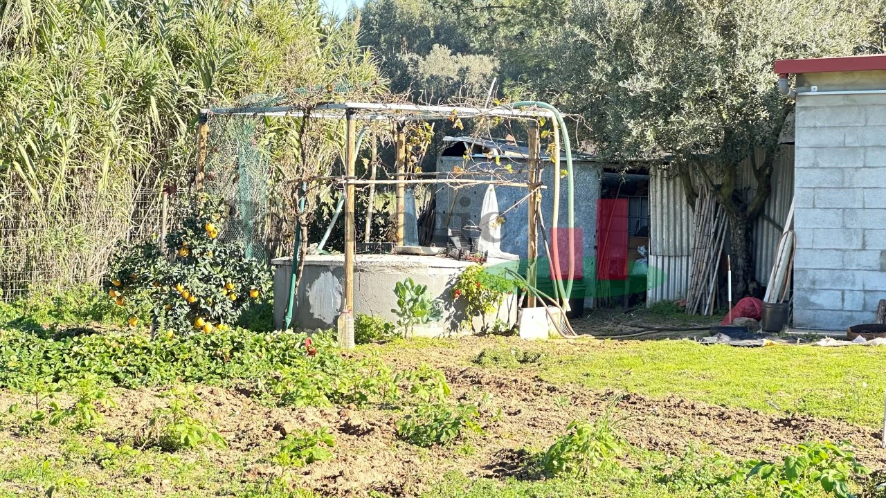 Terreno para Venda em Rio Maior Foto 9