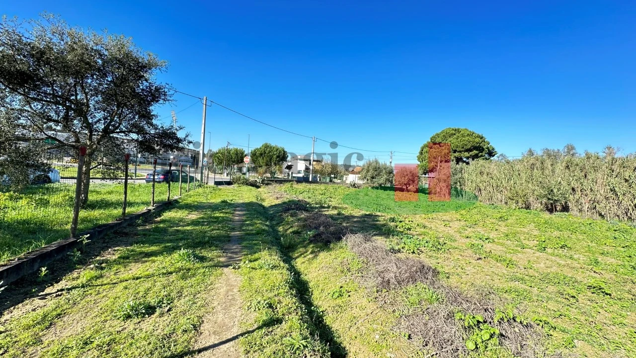 Terreno para Venda em Rio Maior Foto 14