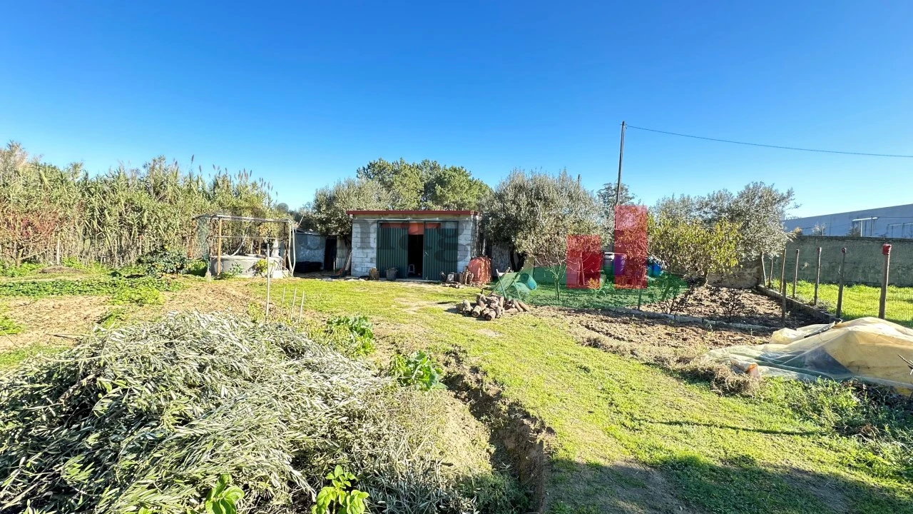 Terreno para Venda em Rio Maior Foto 16