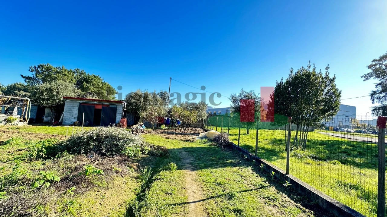Terreno para Venda em Rio Maior Foto 19