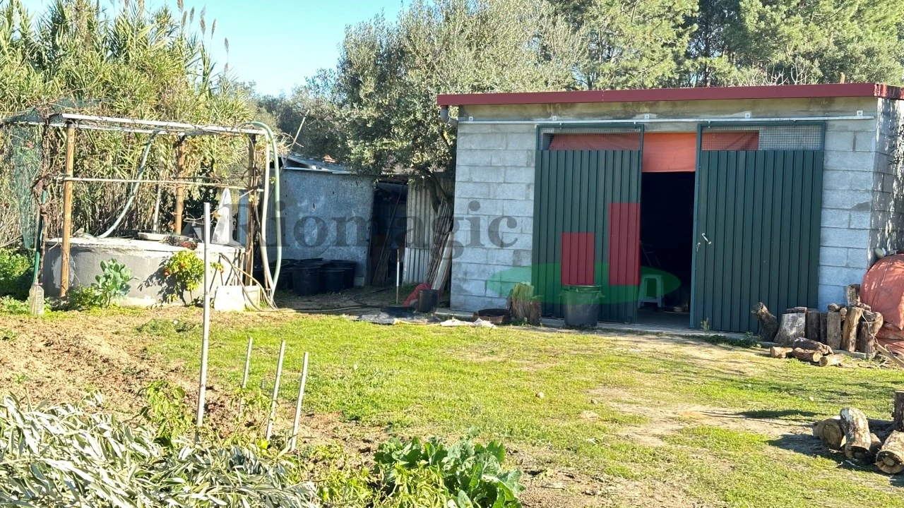 Terreno para Venda em Rio Maior Foto 20
