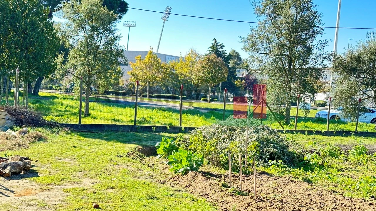 Terreno para Venda em Rio Maior Foto 23