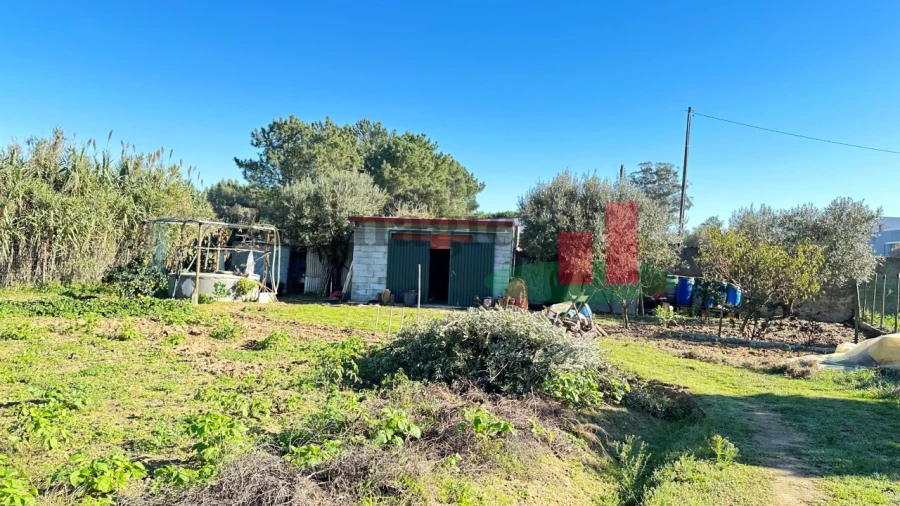 Terreno para Venda em Rio Maior Foto 4
