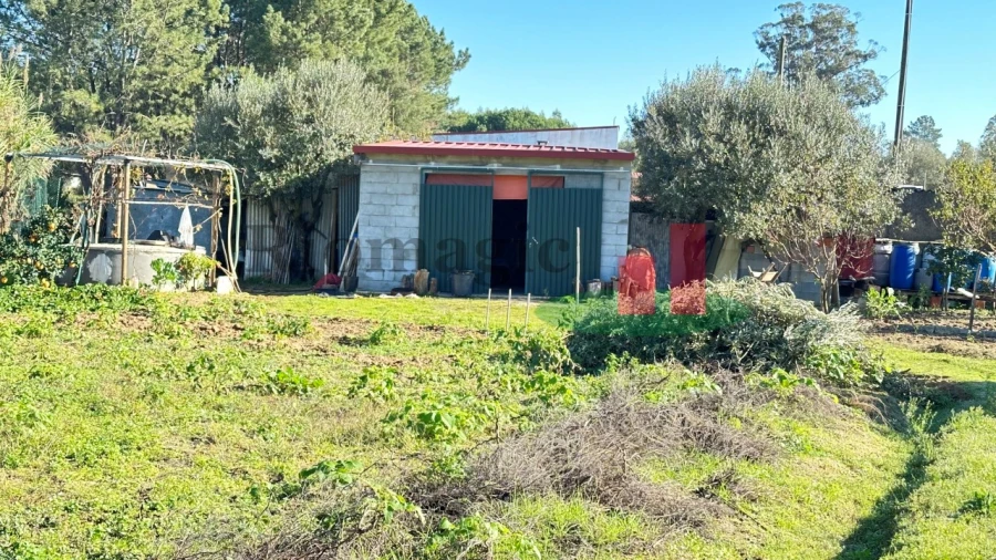 Terreno para Venda em Rio Maior Foto 5