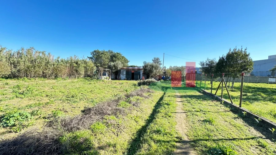 Terreno para Venda em Rio Maior Foto 6