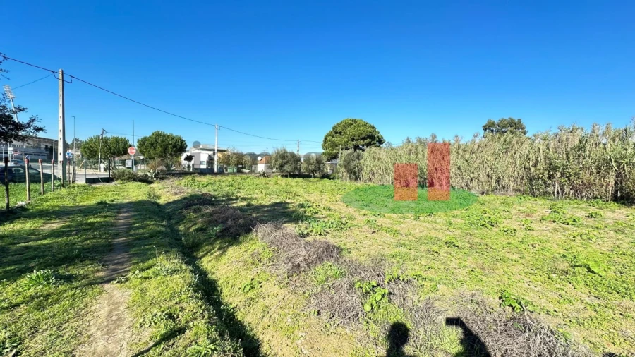 Terreno para Venda em Rio Maior Foto 8