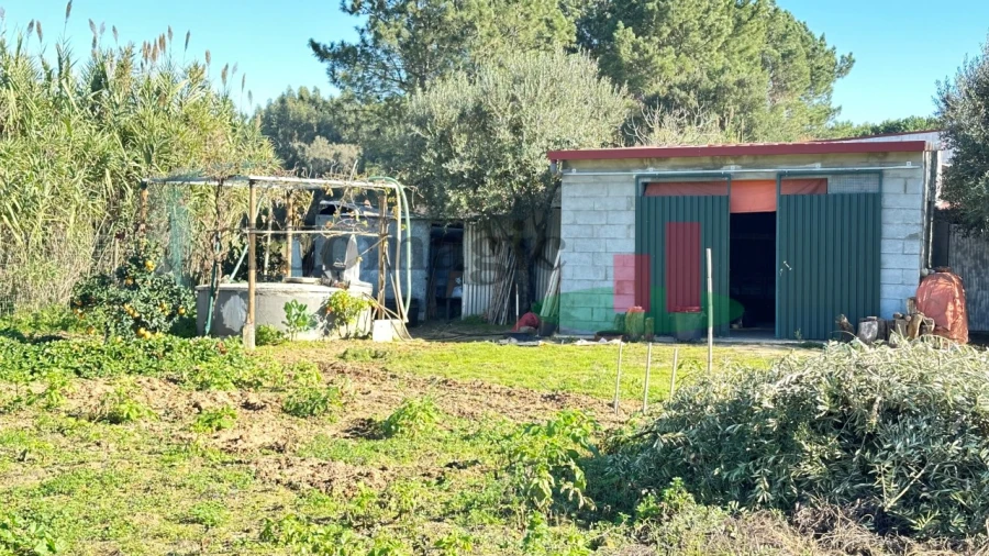 Terreno para Venda em Rio Maior Foto 10