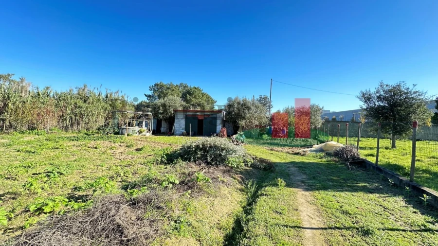 Terreno para Venda em Rio Maior Foto 15