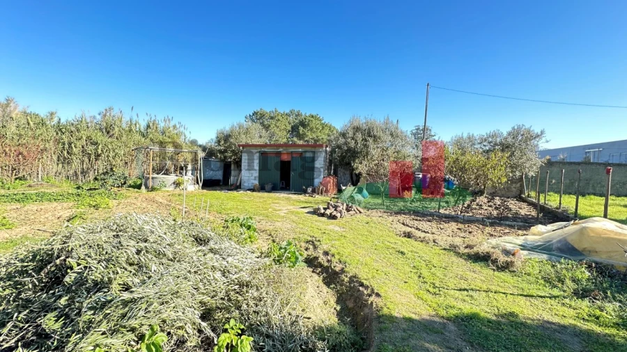 Terreno para Venda em Rio Maior Foto 16