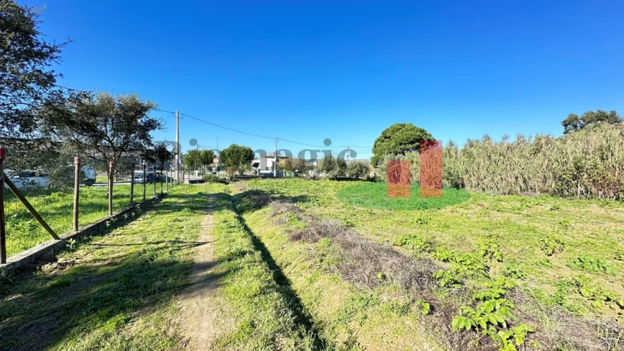Terreno para Venda em Rio Maior Foto 17