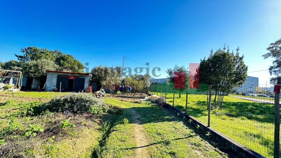 Terreno para Venda em Rio Maior Foto 19