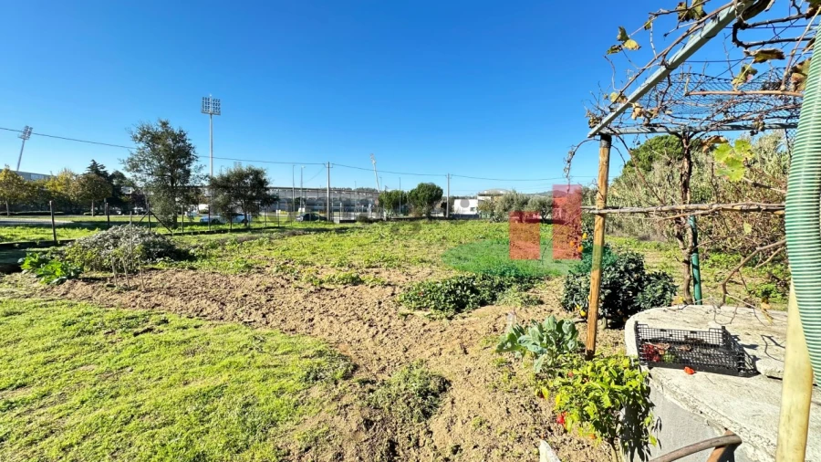 Terreno para Venda em Rio Maior Foto 25
