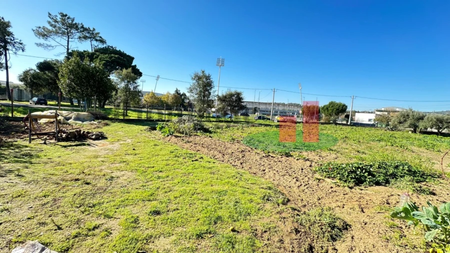 Terreno para Venda em Rio Maior Foto 26