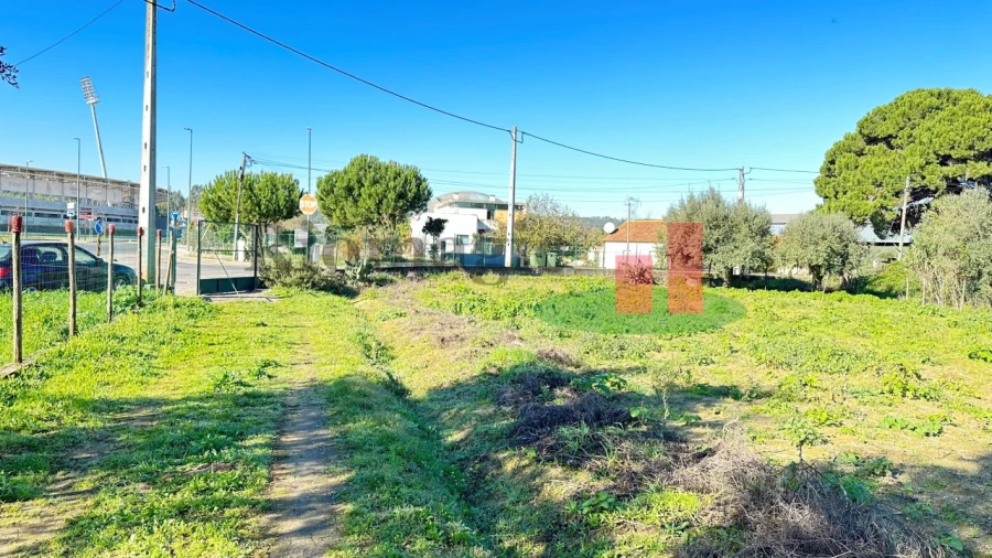 Terreno para Venda em Rio Maior Foto 28