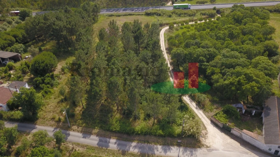Terreno para Venda em Asseiceira Foto 1