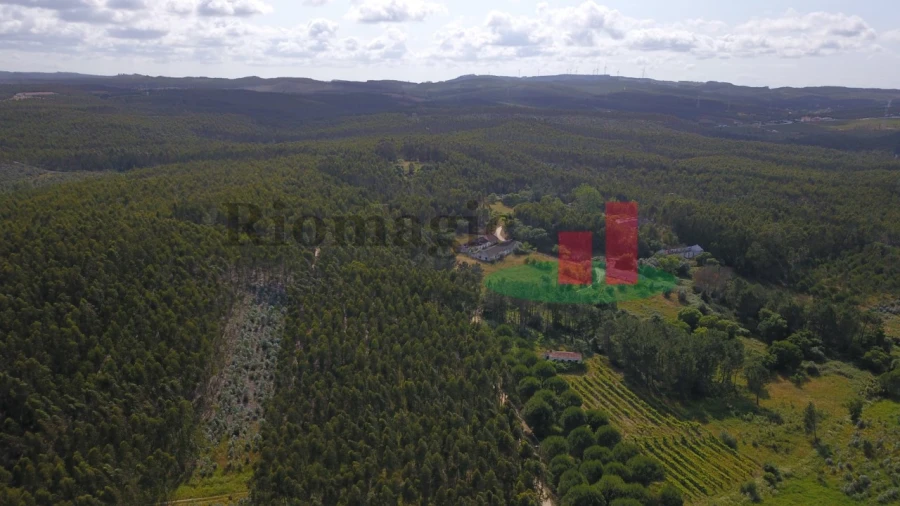 Terreno para Venda em Asseiceira Foto 9