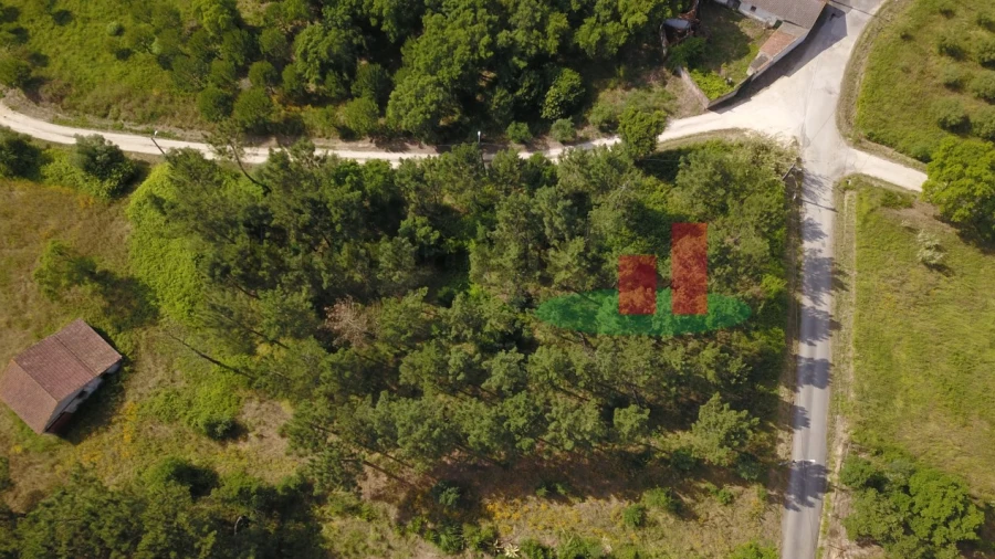 Terreno para Venda em Asseiceira
