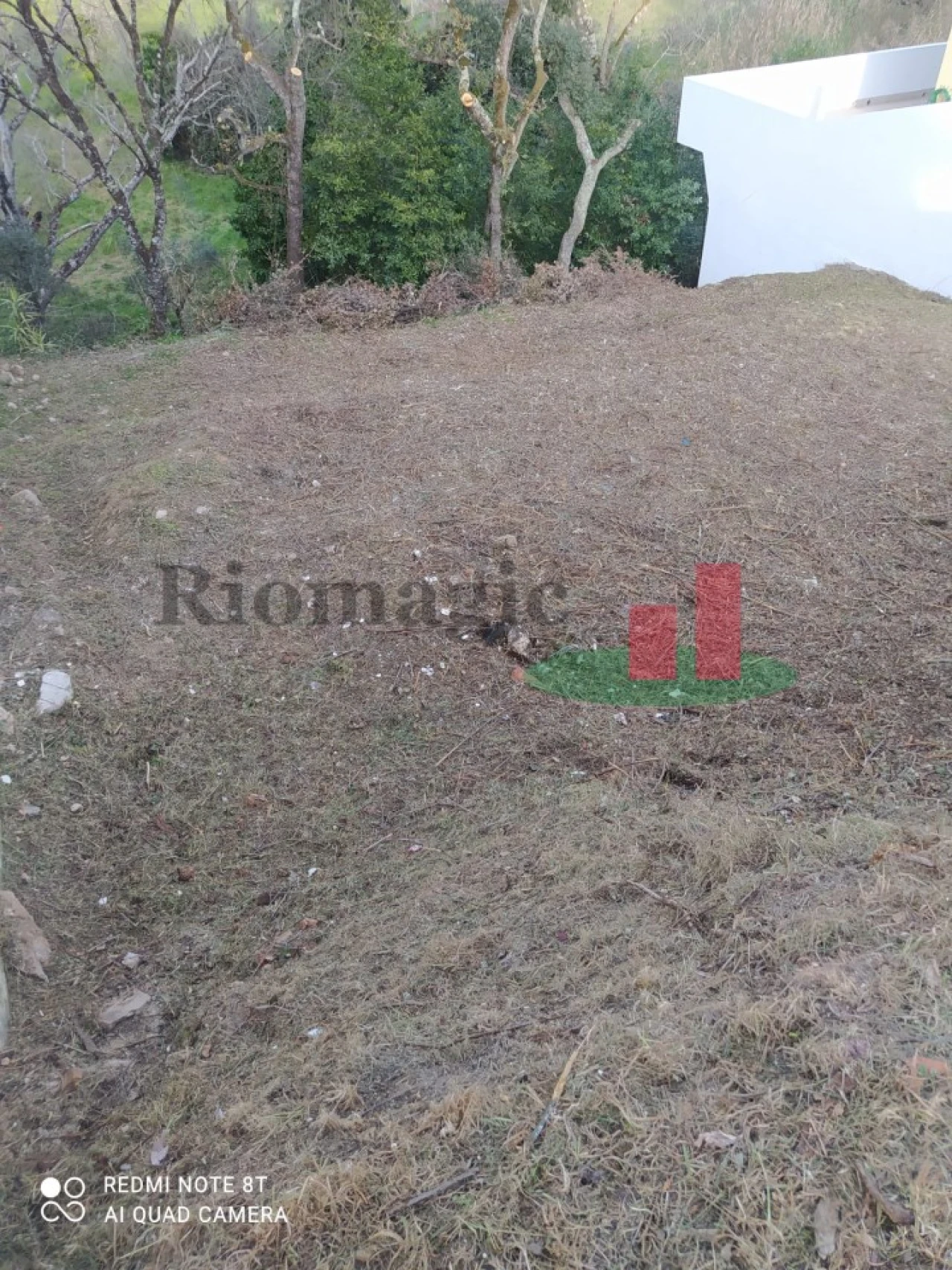 Terreno para Venda em Abrantes (São Vicente e São João) e Alferrarede Foto 8