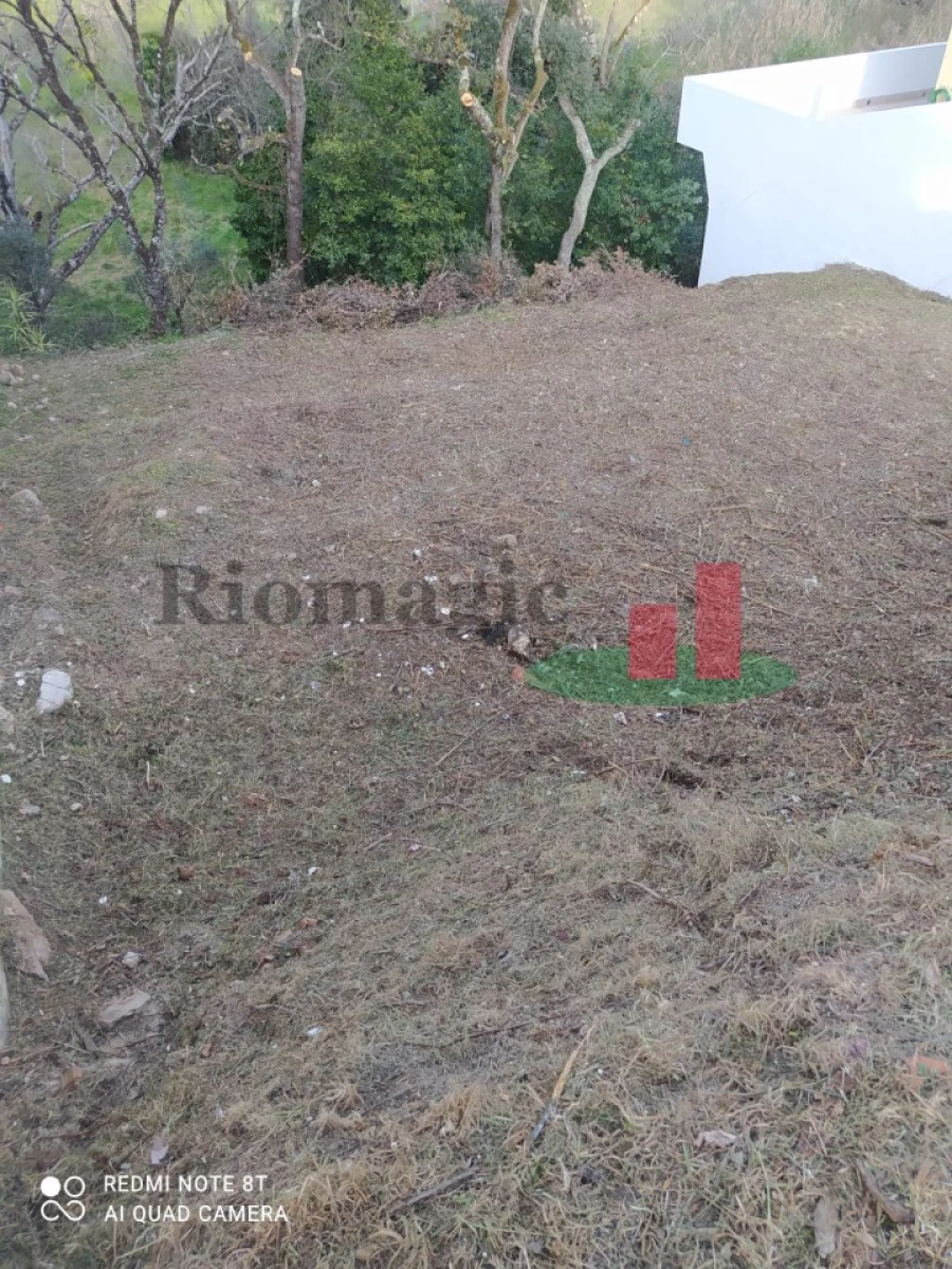 Terreno para Venda em Abrantes (São Vicente e São João) e Alferrarede Foto 8