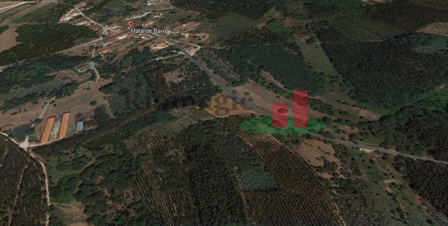 Terreno para Venda em Rio Maior Foto 1