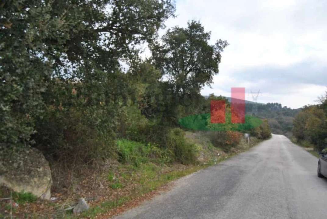 Terreno para Venda em Rio Maior Foto 7