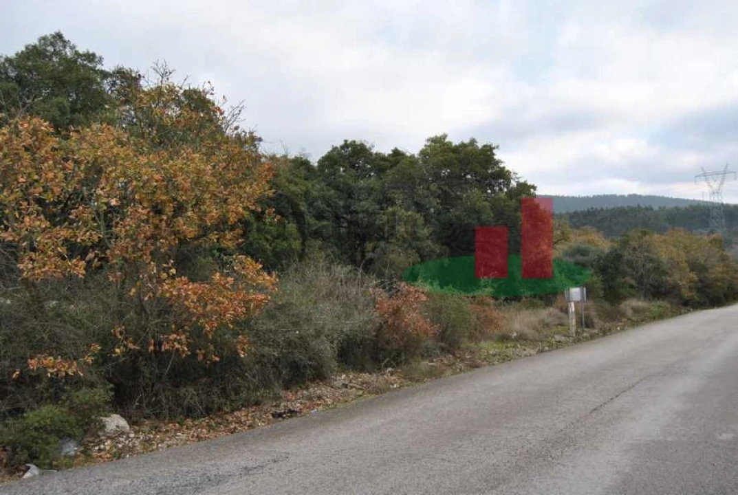 Terreno para Venda em Rio Maior Foto 10