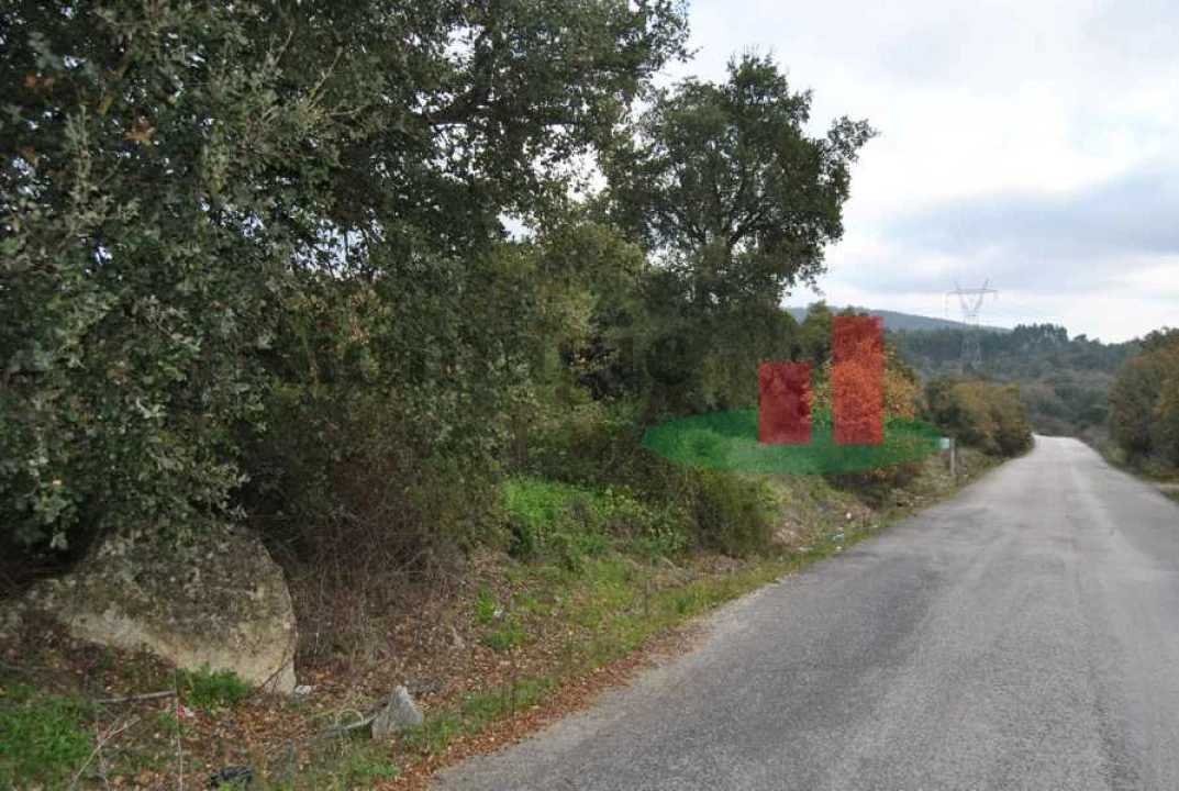 Terreno para Venda em Rio Maior Foto 11