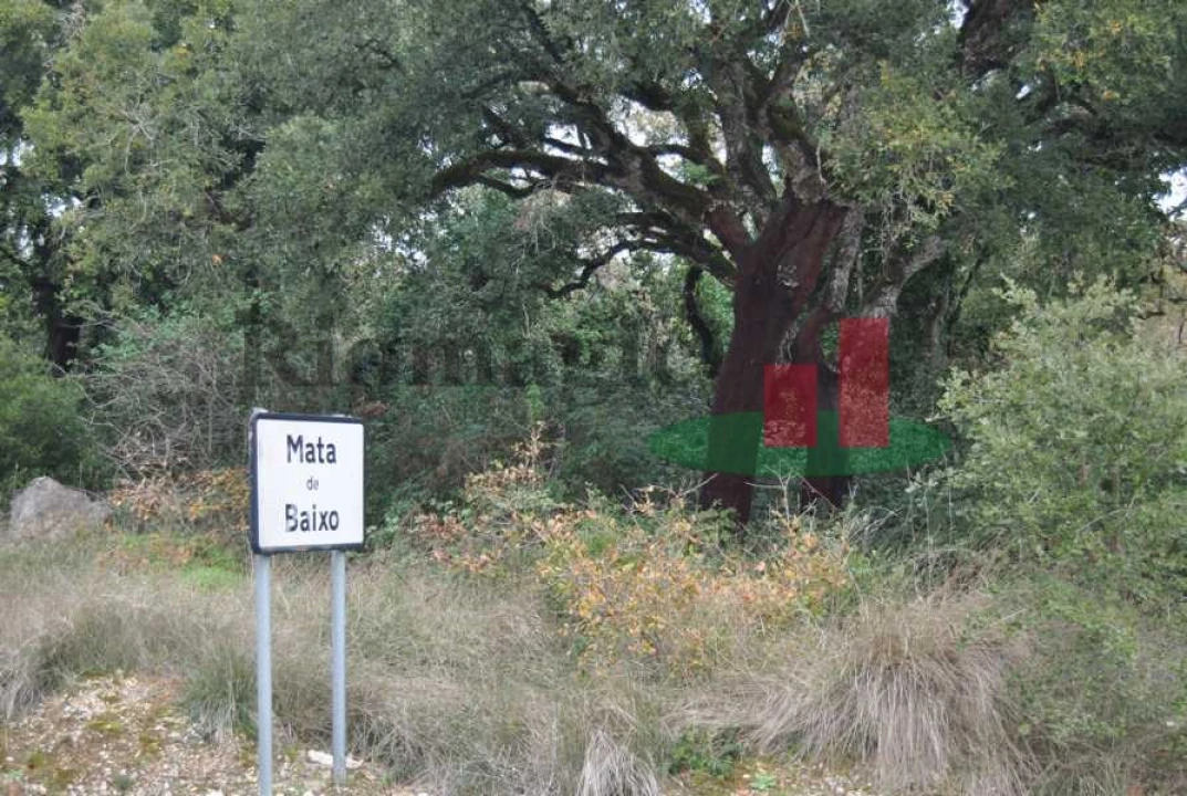 Terreno para Venda em Rio Maior Foto 6