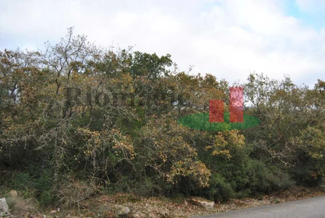 Terreno para Venda em Rio Maior Foto 14