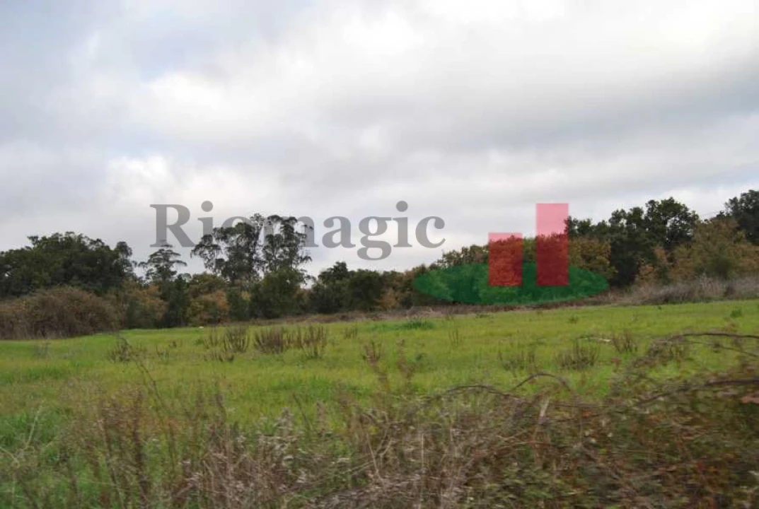 Terreno para Venda em Rio Maior Foto 22