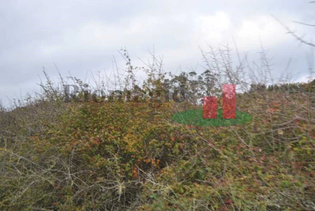 Terreno para Venda em Rio Maior Foto 23