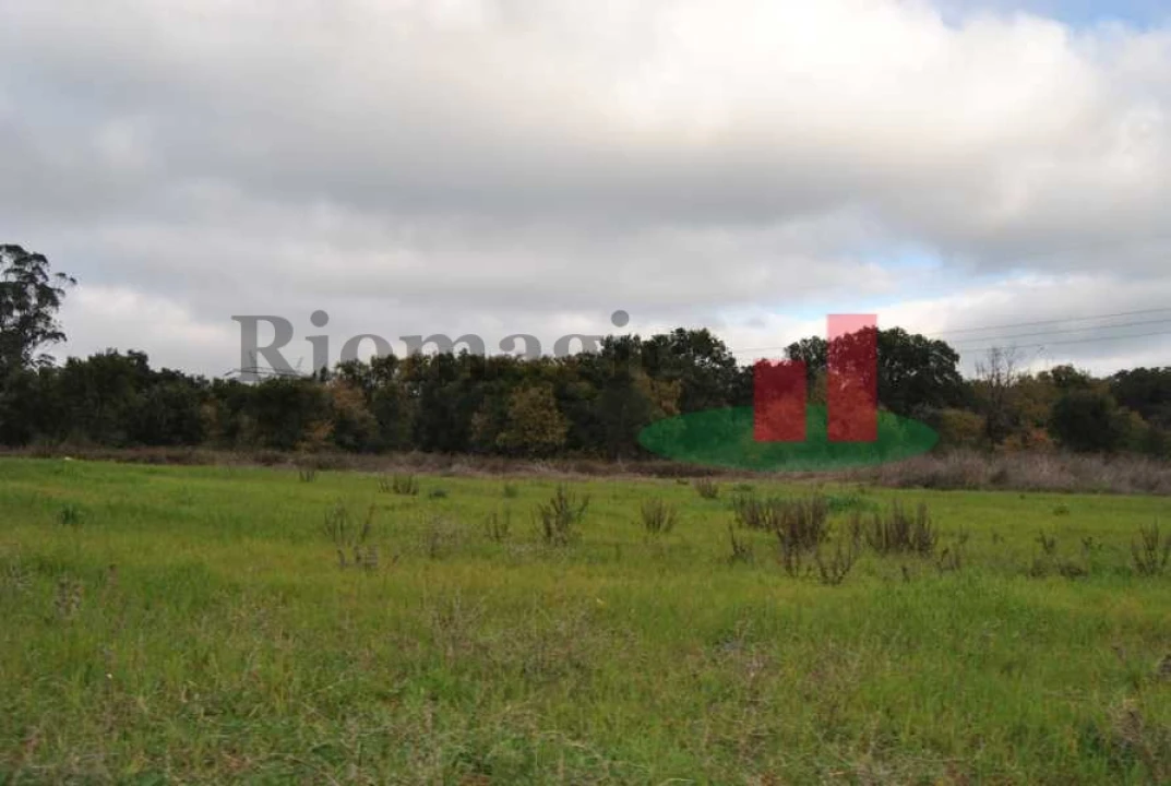 Terreno para Venda em Rio Maior Foto 24
