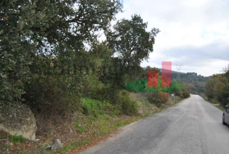 Terreno para Venda em Rio Maior Foto 7