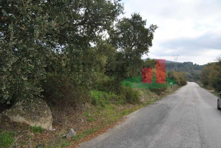 Terreno para Venda em Rio Maior Foto 3