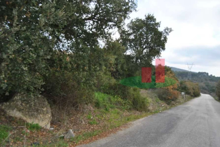 Terreno para Venda em Rio Maior Foto 8