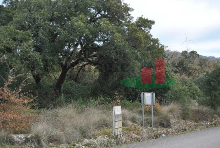 Terreno para Venda em Rio Maior Foto 12